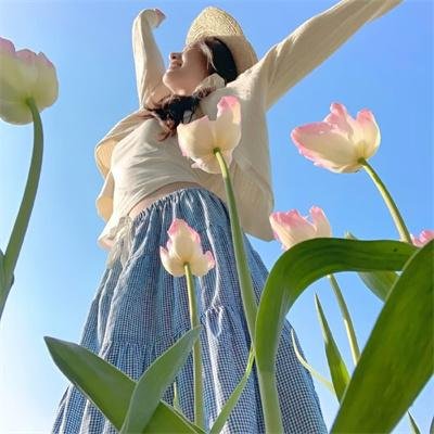 暗芝居第十二季